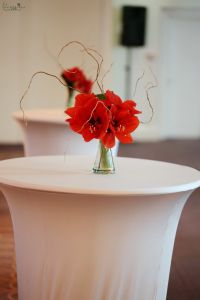 Event decor with red amaryllis, Corinthia Budapest