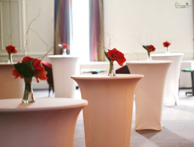 Event decor with red amaryllis, Corinthia Budapest