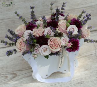 Lavendel in schmetterlingsförmiger Box (20 St)