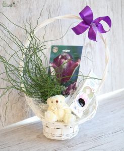 Gewundenes Gras, Teddybär, Schokolade, Tulpenzwiebeln im Korb