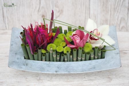 Modern arrangement with orchids and protea, bamboo