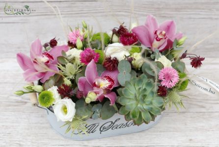 Flower arrangement with orchids, echeveria, stipa grass