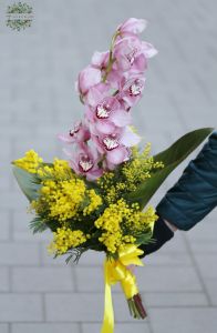 egy fürt orchidea mimózával (4szál)