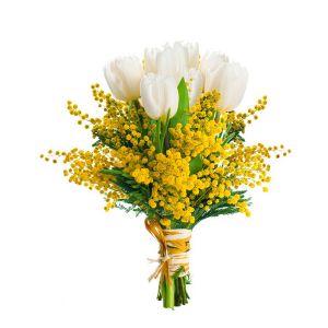 Mimose mit Tulpen (13St)