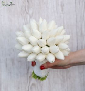 menyasszonyi csokor tulipánból (fehér)