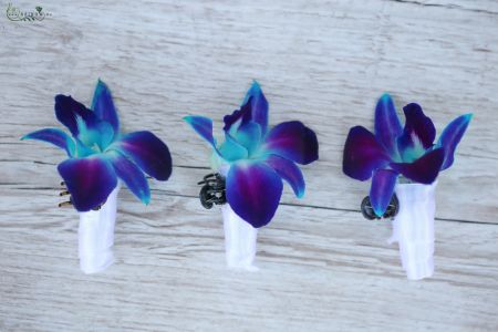 hajdísz kék dendrobium orchideából