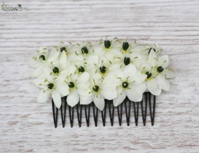 Ansteckblume