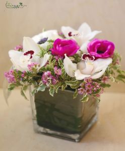 Table decoration in glass cube (orchid, anemone, wax flower, white, pink)