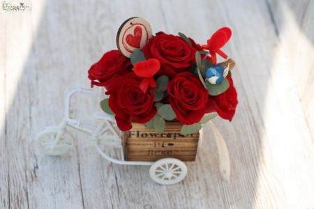Lovebird Rose Fahrrad (7 Vorbau)