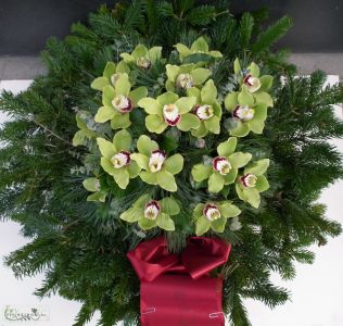 domed wreath made of green Cymbidium orchids (60cm, 17st)