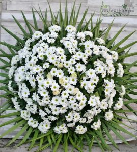 big standing wreath made of white chrysanthemums and 5 roses (1m, 35st)