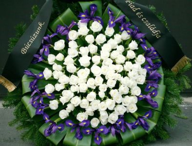 állókoszorú fehér rózsából és kék nősziromból (1m, 100szál)