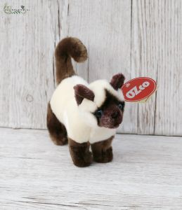 kis sziámi cica (15cm)