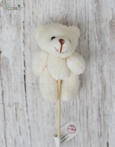 Teddy am Stock