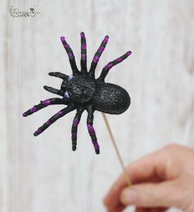 Spider on stick