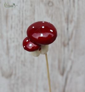 Mushroom on stick