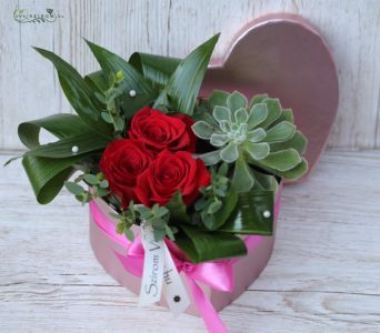 Rosegold Herz Box mit Echeveria und 3 roten Rosen