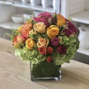 Glass cube with hydrangeas, roses (18 stems)
