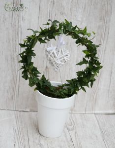 Running ivy in pot with heart