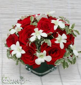15 rote Rose in einem Glaskubus mit Dendrobium Orchideen