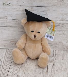 Plüsch Abschluss Teddy 19cm