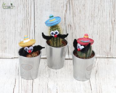 Kaktus mit Sombrero 1 Stück