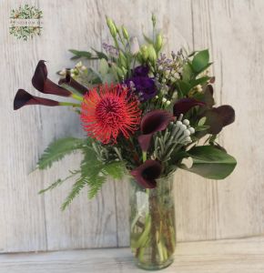 Modern bouquet with dark burgundy callas and pincushion protea, in vase (13 stems)