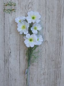 Weiße Kosmos Seidenblume