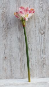 Silkflower amaryllis 70cm