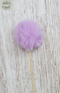 pompon