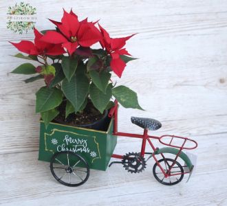Santa tricycle