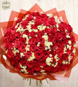75 rote Rosen mit 20 Kamillen im Riesige Strauss 