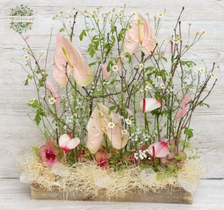 modern rusztikus virágtál flamingóvirággal, orchideával, kamillával