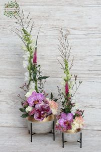 Kleine Betontöpfe mit modernem luftigem Blumendekor