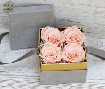 infinity rose (preserved) in box