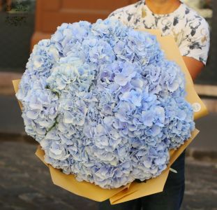 17 blue hydrangeas in a big bouquet