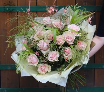 20 halvány rózsaszín rózsa apró virágokkal, kalászokkal
