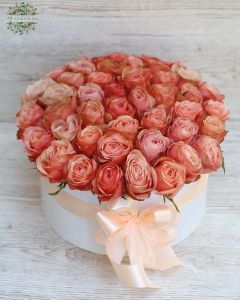 40 peach roses in round box