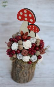 Dried flower tree trunk with mushroom