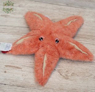 Plush Seastar 25cm