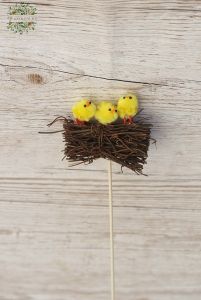 3 chickens on a cane bed stick