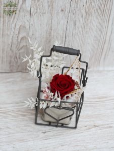 ewige Rose in einem Metallherzbecher