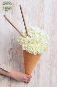 Ice cream bouquet with hydrangeas