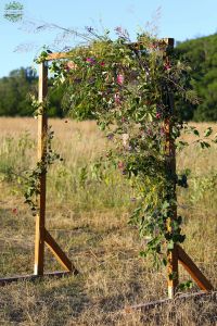 Tor mit Wildblumen (wild, Saisonblume, grün)