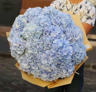 Giant Bouquet with hydrangea