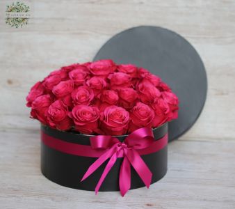 40 rosa Rosen in einer schwarzen Box