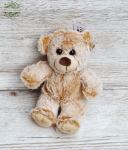 Plush teddy 20cm