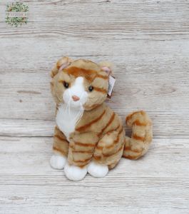 Plush Cat 28cm