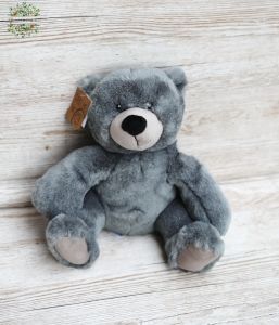 Plüsch Teddy 23cm