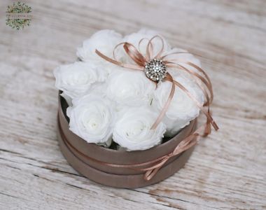 White forever roses in plusch box (8 stem)